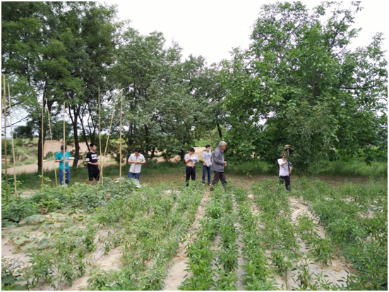 1535529113221411.png image.png